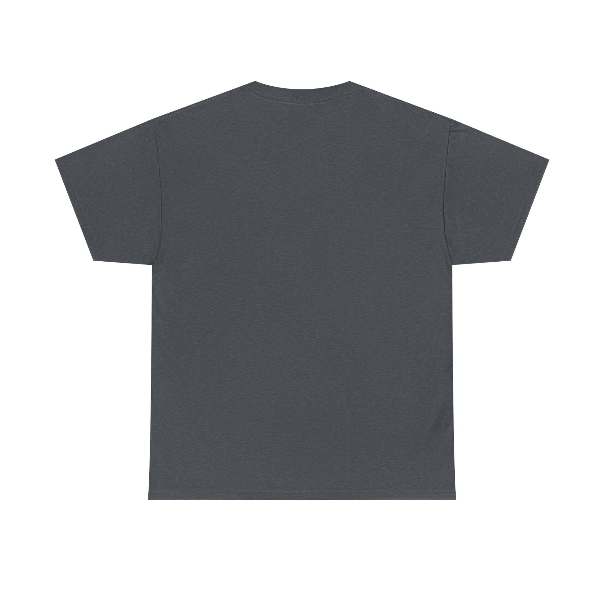 Plain dark gray t-shirt on a white background